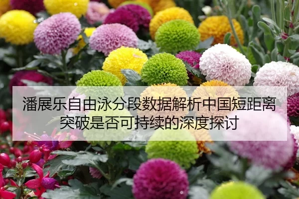 潘展乐自由泳分段数据解析中国短距离突破是否可持续的深度探讨